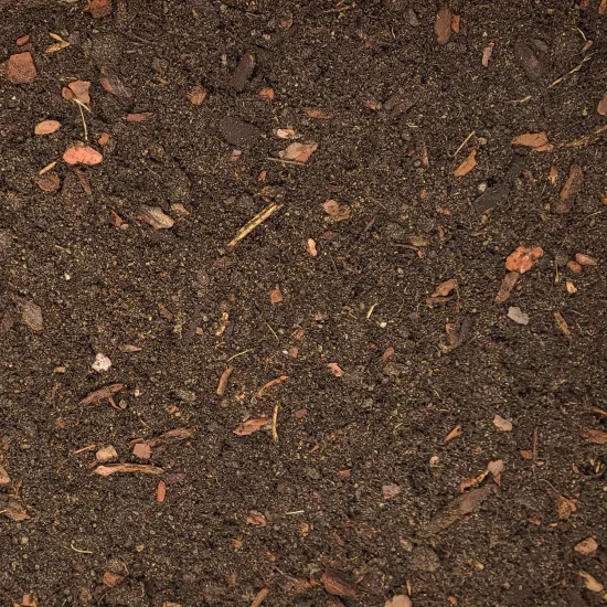 Kiefern Umpflanz-Set - 10L Profi-Substrat + 250ml Dünger