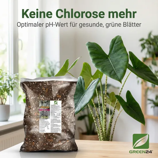 Alocasien Erde PROFI LINIE – 10L Alocasia Spezialsubstrat für Pfeilblatt & Elefantenohr