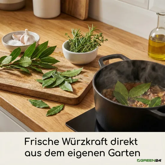 Lorbeer Erde PROFI LINIE – 10L Spezialsubstrat für Gewürzlorbeer