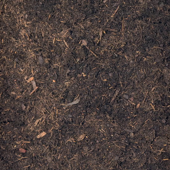 Kirschlorbeer Spezial-Erde PROFI LINIE – 10L Substrat für Kübel, Hecken & Solitär