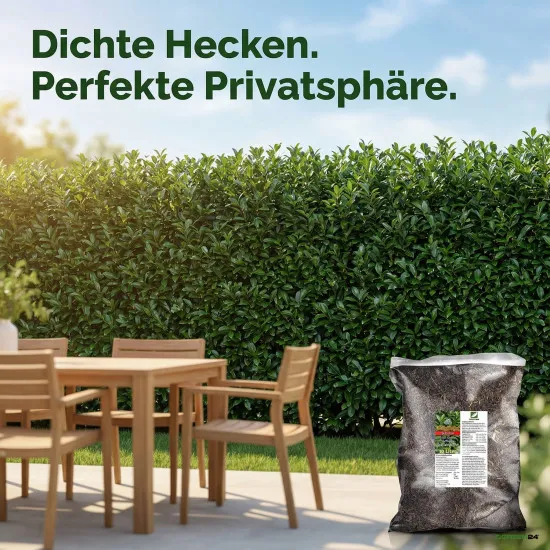 Kirschlorbeer Spezial-Erde PROFI LINIE – 10L Substrat für Kübel, Hecken & Solitär
