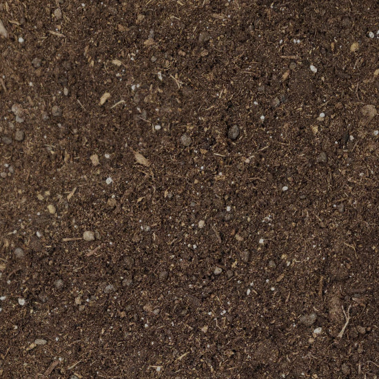 Olivenbaum Erde PROFI LINIE – 10L Spezialsubstrat