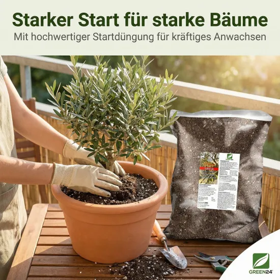 Olivenbaum Erde PROFI LINIE – 10L Spezialsubstrat