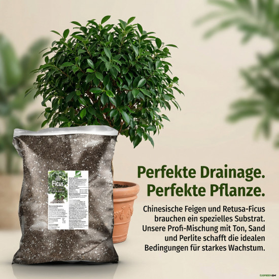 Ficus-Erde Substrat PROFI LINIE – 10L Spezialerde für alle Ficus-Arten