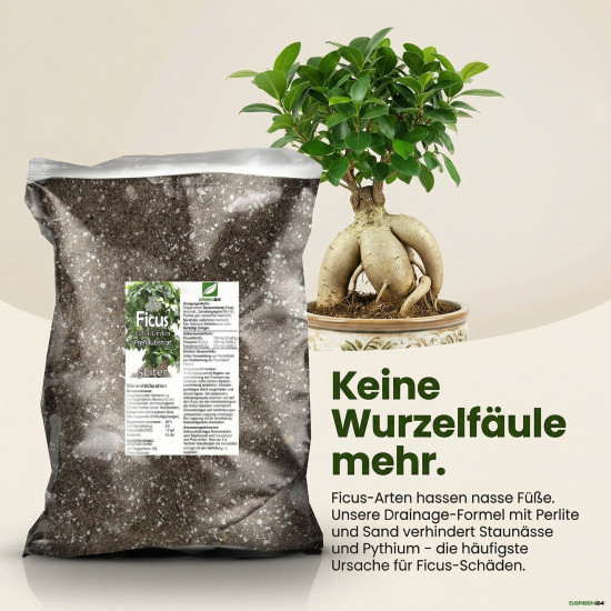 Ficus-Erde Substrat PROFI LINIE – 10L Spezialerde für alle Ficus-Arten