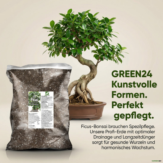 Ficus-Erde Substrat PROFI LINIE – 10L Spezialerde für alle Ficus-Arten