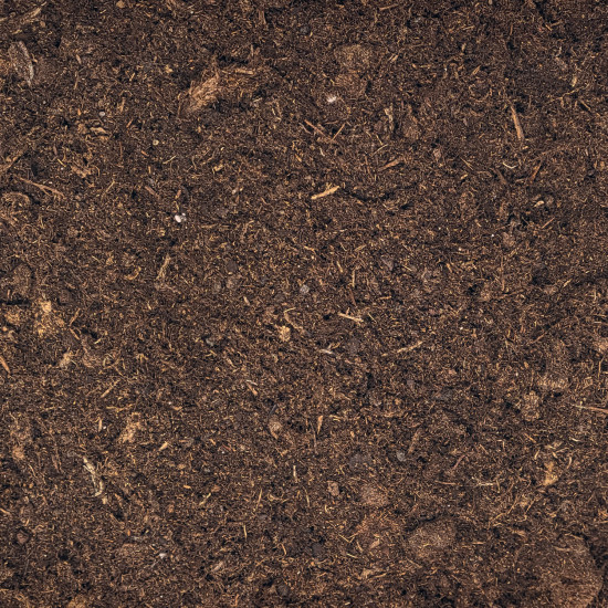 Fichten Umpflanz-Set – 10L Waldboden-Erde + 250ml Dünger