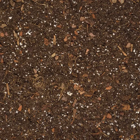 Farn Umpflanz-Set – 10L Spezial-Erde + 250ml Dünger