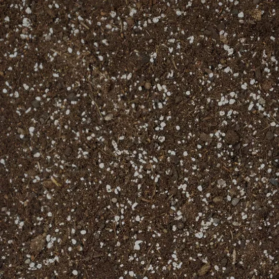 Yucca Umpflanz-Set – 10L Premium-Substrat + 250ml Dünger für Palmlilien