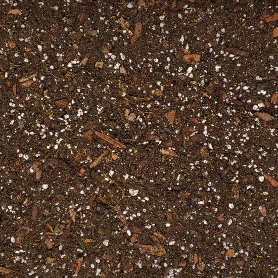 Alocasia Umpflanz-Set – 10L Profi-Substrat + 250ml Dünger für Pfeilblatt