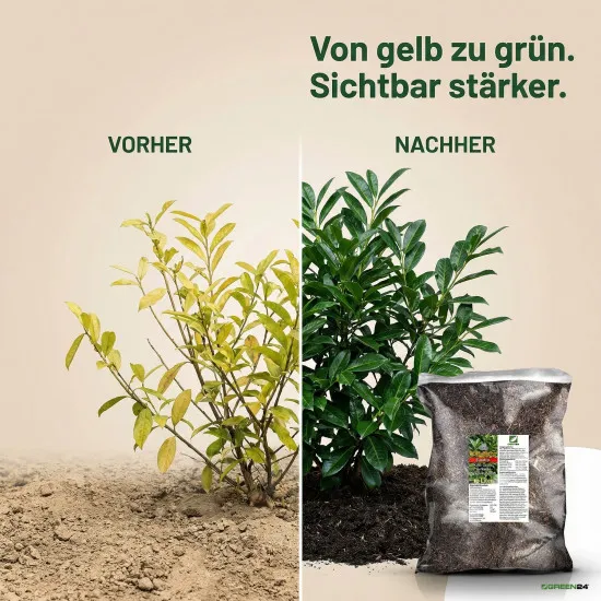 Kirschlorbeer Umpflanz-Set – 10L Spezial-Erde + 250ml Dünger für dichte Hecken
