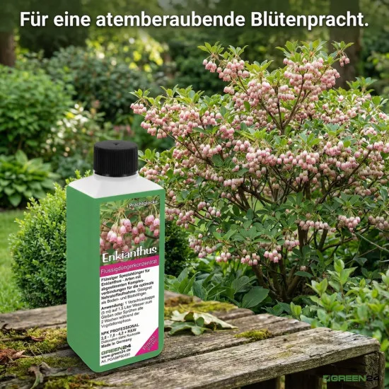 Enkianthus Dünger – HIGH-TECH Flüssigdünger für Prachtglocken – Perfekt für Blütenpracht & Herbstfärbung