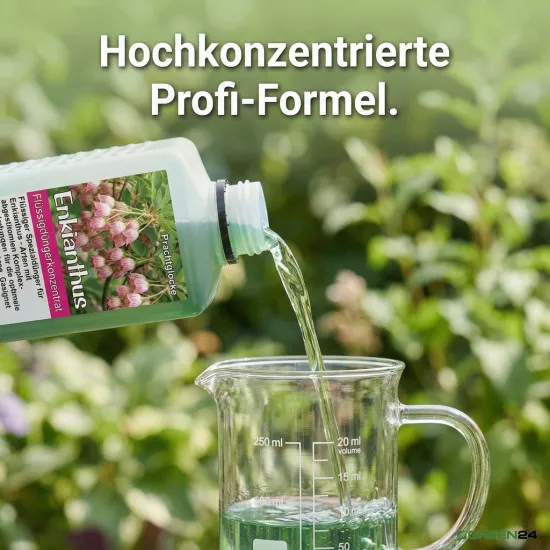 Enkianthus Dünger – HIGH-TECH Flüssigdünger für Prachtglocken – Perfekt für Blütenpracht & Herbstfärbung