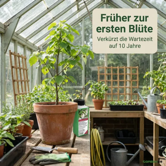 Davidia Dünger, NPK Flüssigdünger für Taschentuchbaum & Taubenbaum 250ml, Spezialdünger für Davidia involucrata, Fördert Hochblätter & Vitalität