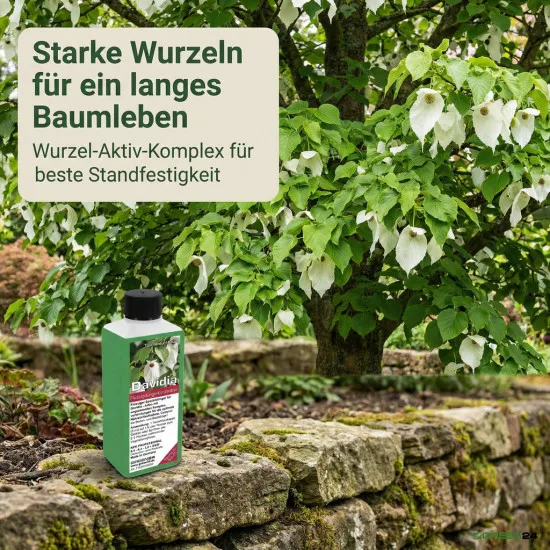 Davidia Dünger, NPK Flüssigdünger für Taschentuchbaum & Taubenbaum 250ml, Spezialdünger für Davidia involucrata, Fördert Hochblätter & Vitalität