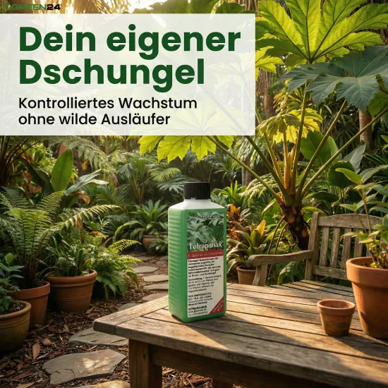 Tetrapanax Dünger, NPK Flüssigdünger für Reispapierbaum, Spezialdünger für Tetrapanax papyrifer, Fördert Riesenblätter & Blüten, 250ml