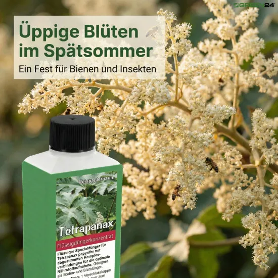 Tetrapanax Dünger, NPK Flüssigdünger für Reispapierbaum, Spezialdünger für Tetrapanax papyrifer, Fördert Riesenblätter & Blüten, 250ml