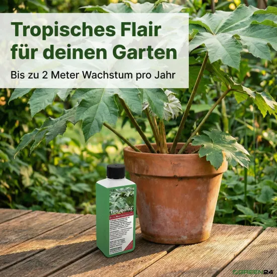 Tetrapanax Dünger, NPK Flüssigdünger für Reispapierbaum, Spezialdünger für Tetrapanax papyrifer, Fördert Riesenblätter & Blüten, 250ml