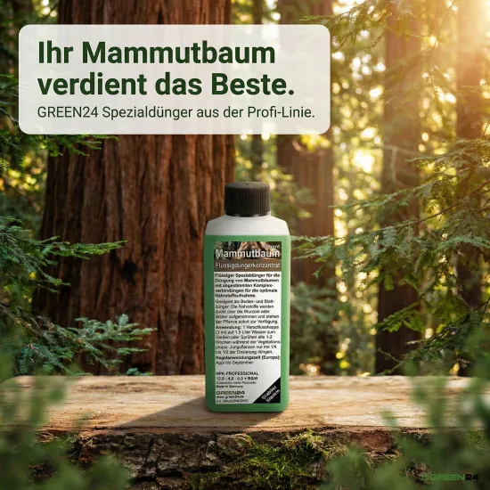 Mammutbaum Dünger Sequoiadendron 250ml NPK Spezialdünger gegen Nadelbräune
