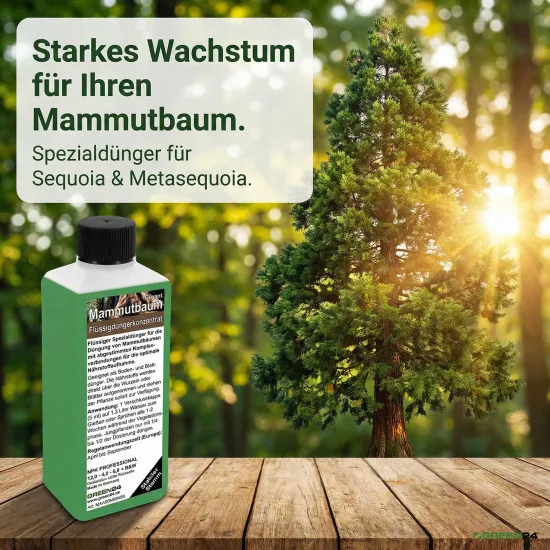 Mammutbaum Dünger Sequoiadendron 250ml NPK Spezialdünger gegen Nadelbräune