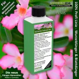 Wüstenrosen Dünger – 250ml Spezialdünger für Adenium obesum | Für dicken Caudex & reiche Blütenpracht | Ideal für alle Flaschenbäume & Caudexpflanzen