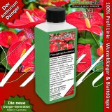 Anthurium-Dünger Pro – 250ml NPK Spezialkonzentrat für Flamingoblumen, für gesunde Anthurien mit spektakulären Blüten