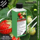 Erdbeer-Dünger – 250ml Spezialdünger für Fragaria × ananassa NPK | Fördert süße Früchte & kräftiges Wachstum | Ideal für alle Erdbeersorten