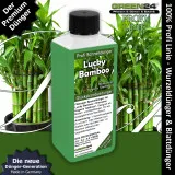 GREEN24 Glücksbambus Dünger 250ml | NPK Spezial-Flüssigdünger für Lucky Bamboo (Dracaena sanderiana) in Hydrokultur & Wasser | Verhindert gelbe Blätter & sorgt für kräftige, grüne Triebe