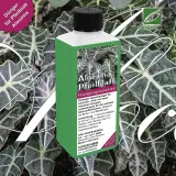 Alocasia Dünger, 250ml, Spezial-Flüssigdünger für Pfeilblatt & Elefantenohr, für kräftige Blätter, intensive Farben und gesundes Wachstum