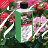 Kalanchoe-Dünger - Flüssiger NPK Dünger für Flammendes Käthchen und Goethe-Pflanze 250 ml