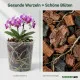 Orchideenerde PROFI LINIE – 4L Premium Substrat für epiphytische Orchideen