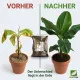 Bananenerde & Strelitzienerde – 10 Liter Premium-Substrat für tropische Pflanzen | Für Musa, Strelitzien & Ensete | Langzeitdünger inklusive | Optimale Drainage