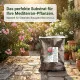 Mediterran Substrat 10 Ltr. – Profi Erde für Oleander, Oliven & Jasmin, mediterrane Pflanzen