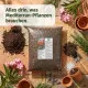 Mediterran Substrat 10 Ltr. – Profi Erde für Oleander, Oliven & Jasmin, mediterrane Pflanzen