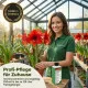 Amaryllis-Dünger Hippeastrum Pro Grün – 250ml Davor-Danach Volldünger für kräftige Blätter & Nährstoffeinlagerung & Blütenbildung | Professionelle Ritterstern-Pflege