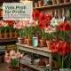 Amaryllis-Dünger Pro Blüte – 250ml Spezialdünger für kräftige Blütenpracht | Für intensive Farben & maximale Blütezeit | Professionelle Hippeastrum-Blütenpflege