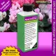 Alpenveilchen-Dünger Cyclamen Pro – 250ml NPK Spezialdünger für leuchtende Blüten | Für stabile Blattmasse & kräftige Wurzeln | Professionelle Cyclamen-Pflege