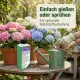 Hortensiendünger flüssig Pro – 250ml Spezialdünger für Hydrangea & Moorbeetpflanzen | Für prächtige Blütenfülle & kräftiges Wachstum | Professionelle Hortensien-Pflege