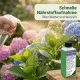 Hortensiendünger flüssig Pro – 250ml Spezialdünger für Hydrangea & Moorbeetpflanzen | Für prächtige Blütenfülle & kräftiges Wachstum | Professionelle Hortensien-Pflege
