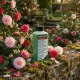 Kamelien-Dünger Camellia-Arten Flüssigdünger, NPK-Dünger für prachtvolle Blüten, 250ml Konzentrat