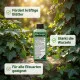 Efeu-Dünger & Euonymus-Dünger | 250ml Spezialkonzentrat für immergrüne Kletterpflanzen und Bodendecker | NPK Flüssigdünger für Hedera & Ranken