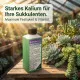 Sukkulenten-Dünger Kalium+ | Kakteen-Dünger Flüssigdünger Konzentrat 250ml | NPK Profi Linie | Festigung, Frosthärte & Schädlingsschutz