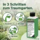 Bodendecker-Dünger immergrün – 250ml Spezialdünger für Cotoneaster, Vinca & Pachysandra | Für dichten Wuchs & sattgrüne Flächen | Profi Flüssigdünger Konzentrat