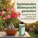 Wüstenrosen Dünger – 250ml Spezialdünger für Adenium obesum | Für dicken Caudex & reiche Blütenpracht | Ideal für alle Flaschenbäume & Caudexpflanzen