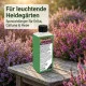 Heidegarten Dünger für Erika & Calluna – 250 ml Spezialdünger für sauren Boden, kräftige Blüten und gesundes Wachstum