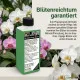 Phalaenopsis Dünger 250ml – Spezialdünger für Schmetterlingsorchideen | Maximiert Blütengröße & -Anzahl | Fördert neue Blütenrispen