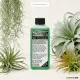 Epiphyten-Dünger Bromelien Tillandsien Flüssigdünger 250ml