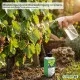Weinreben-Dünger HIGH-TECH – 250ml Spezialdünger für Vitis vinifera NPK | Für süße Trauben & kräftige Reben | Ideal für Weinstock & Pergola