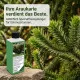 Araukarien-Dünger – 250ml Spezialdünger für Araucaria-Arten | Für majestätische Andentannen | Ideal für alle Schmucktannen & lebenden Fossilien