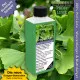 Ginkgo-Dünger, Ginkgo biloba Flüssigdünger Ginko 250ml